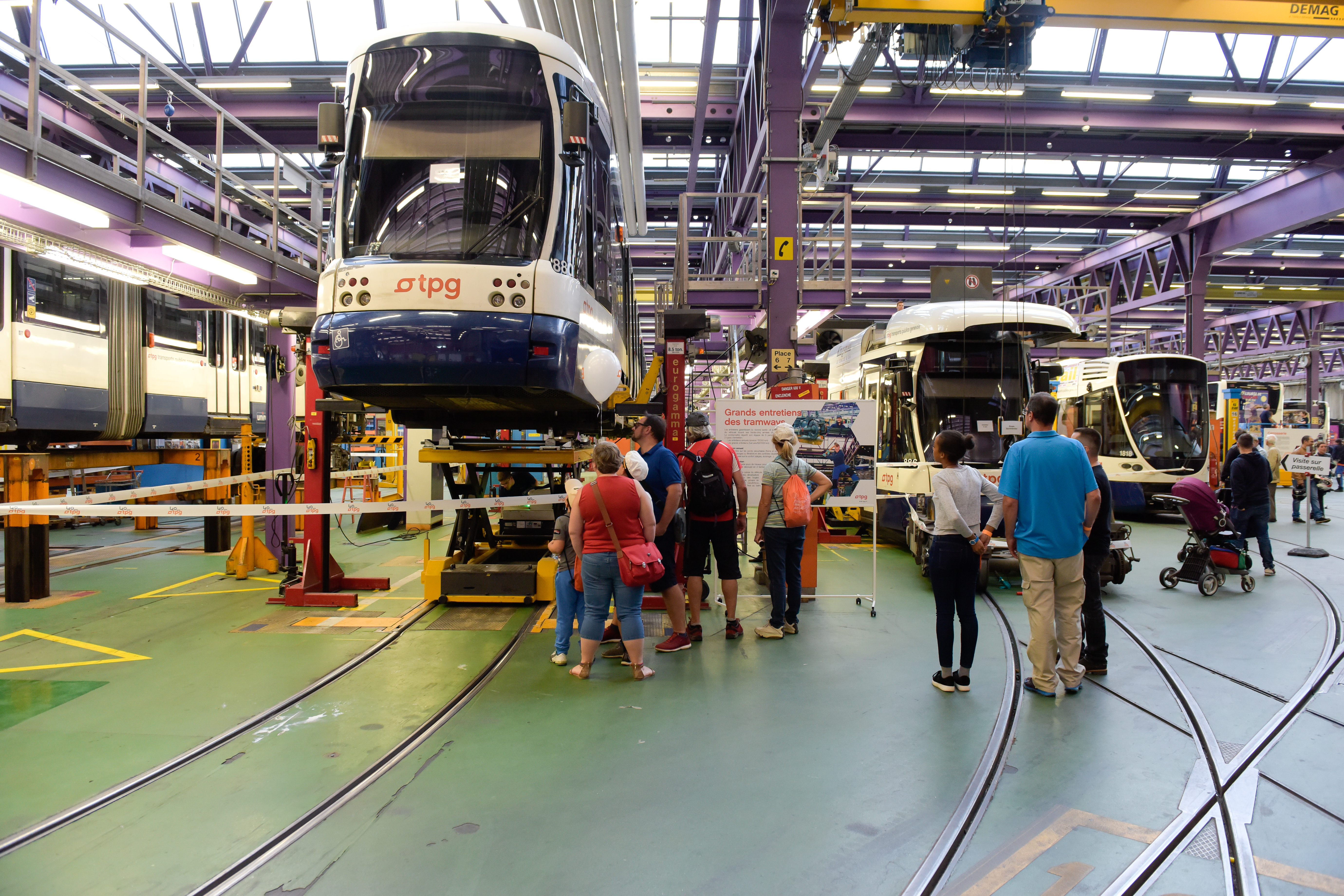 Transports publics genevois (tpg)