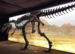 Expo Dinosaures Muséum d’histoire naturelle de la Ville de Genève
