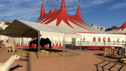 Chapiteau du cirque Nock sur la Plaine de Plainpalais, Genève