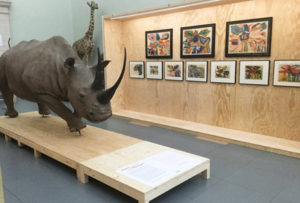 Musée e zoologie Lausanne exposition temporaire entrée libre
