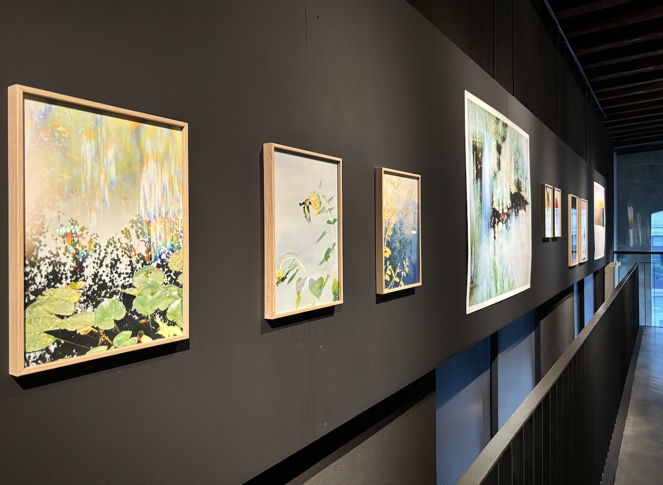 Fribourg_Espace_Jean_Tinguley_Niki_de_Saint_Phalle_Etienne_Francey_vibrations_des_jours_tableaux