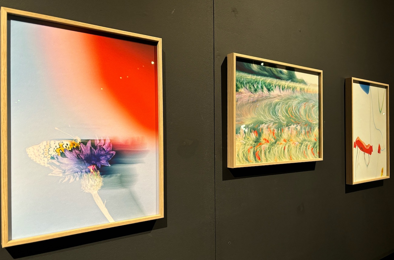 Fribourg_Espace_Jean_Tinguley_Niki_de_Saint_Phalle_Etienne_Francey_vibrations_des_jours_tableaux1