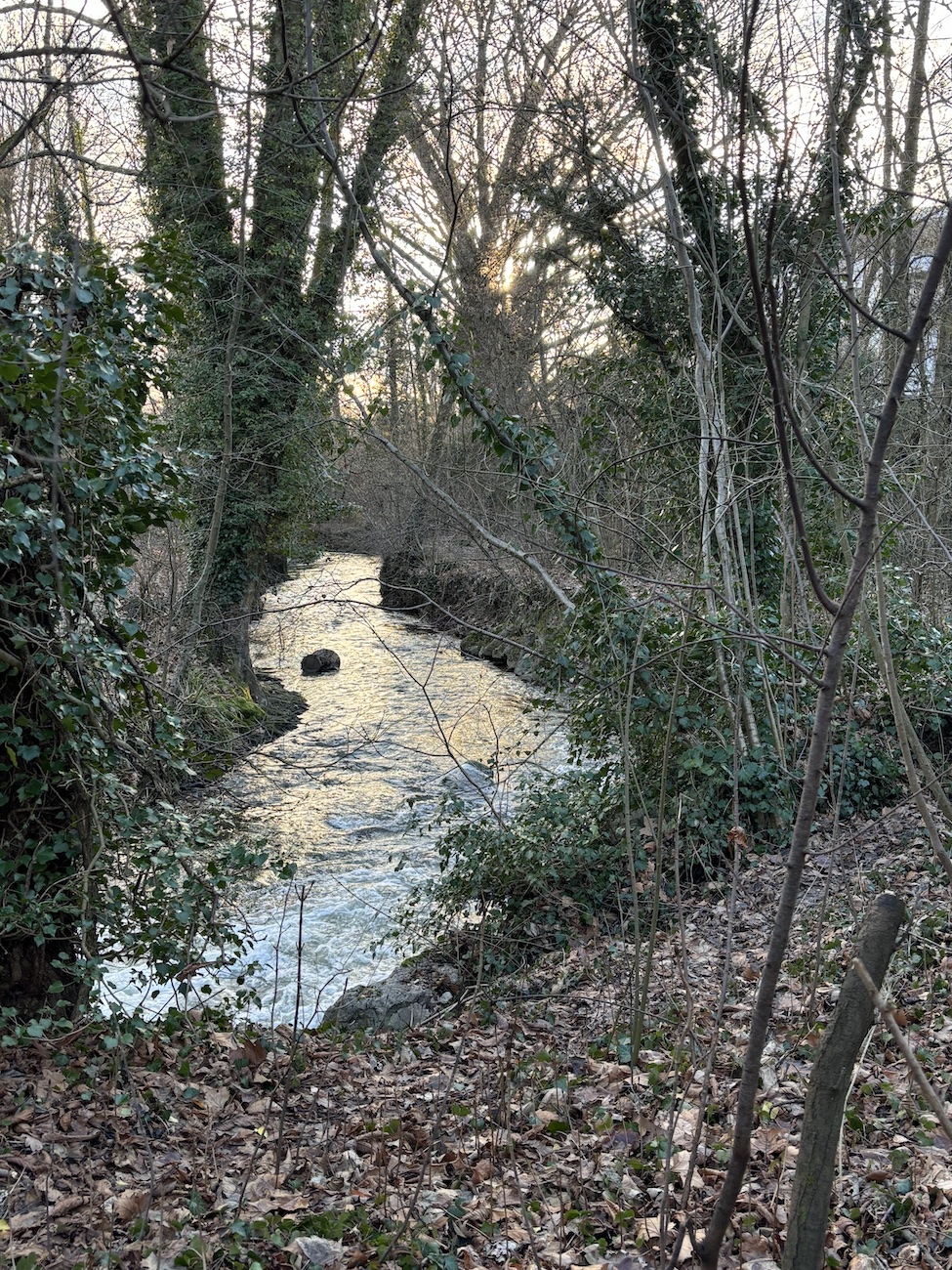 Geneve_Thonex_Gaillard_Foron_riviere_frontaliere_chemin_memorial_frontiere