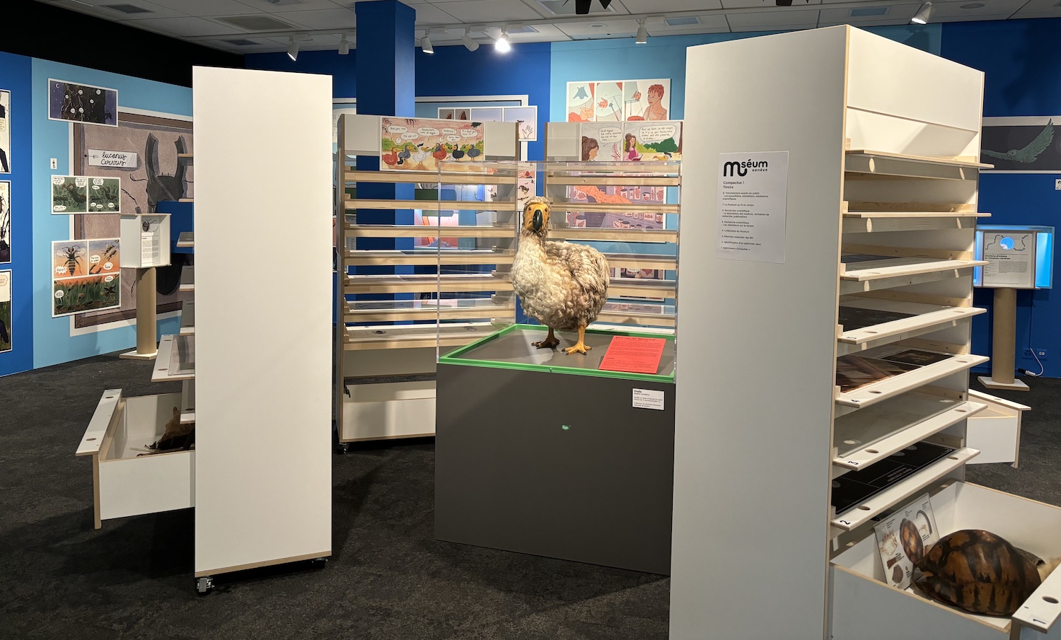 Geneve_Bibliotheque_Cite_Petites_histoires_BioDivertissantes_exposition_2025