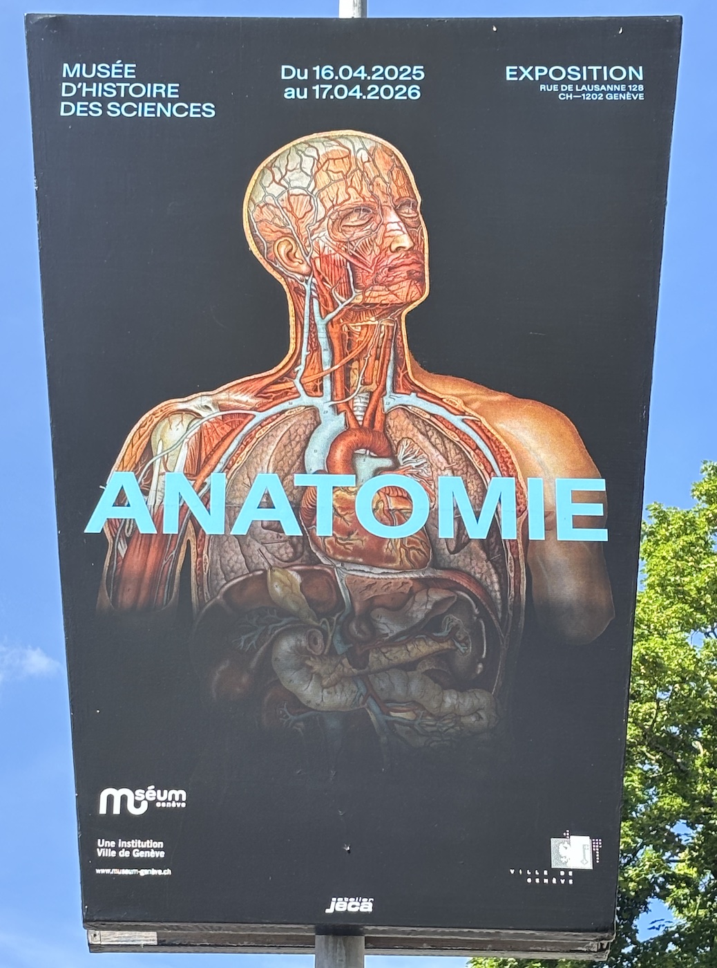 Geneve_Musee_Histoire_Science_Exposition_anatomie_2025_2026