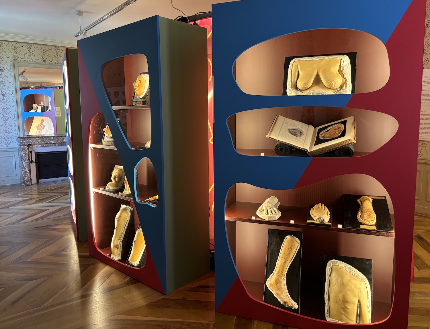 Geneve_Musee_Histoire_Science_Exposition_anatomie_2025_2026_moulage