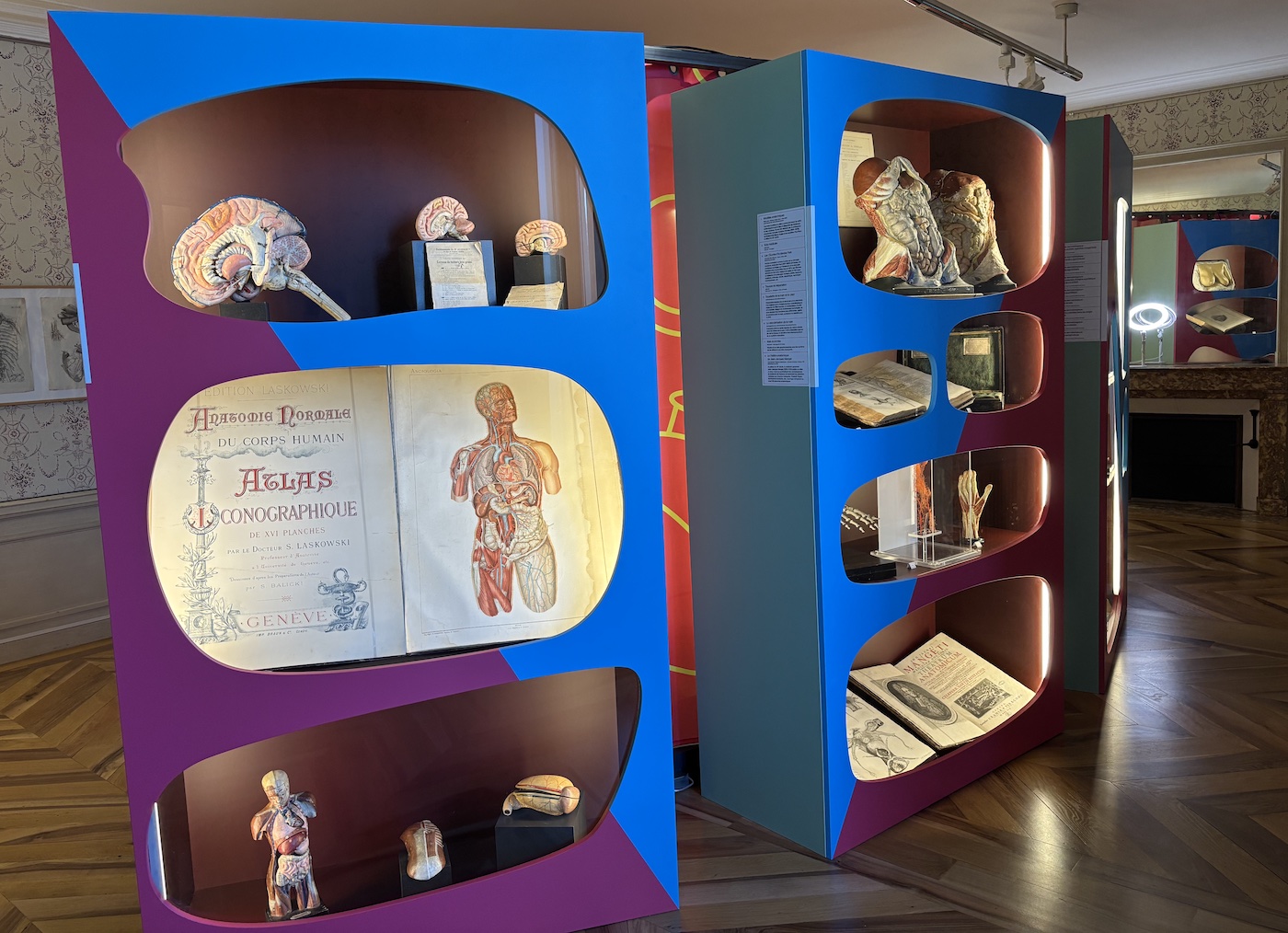 Geneve_Musee_Histoire_Science_Exposition_anatomie_2025_2026_salle_exposition