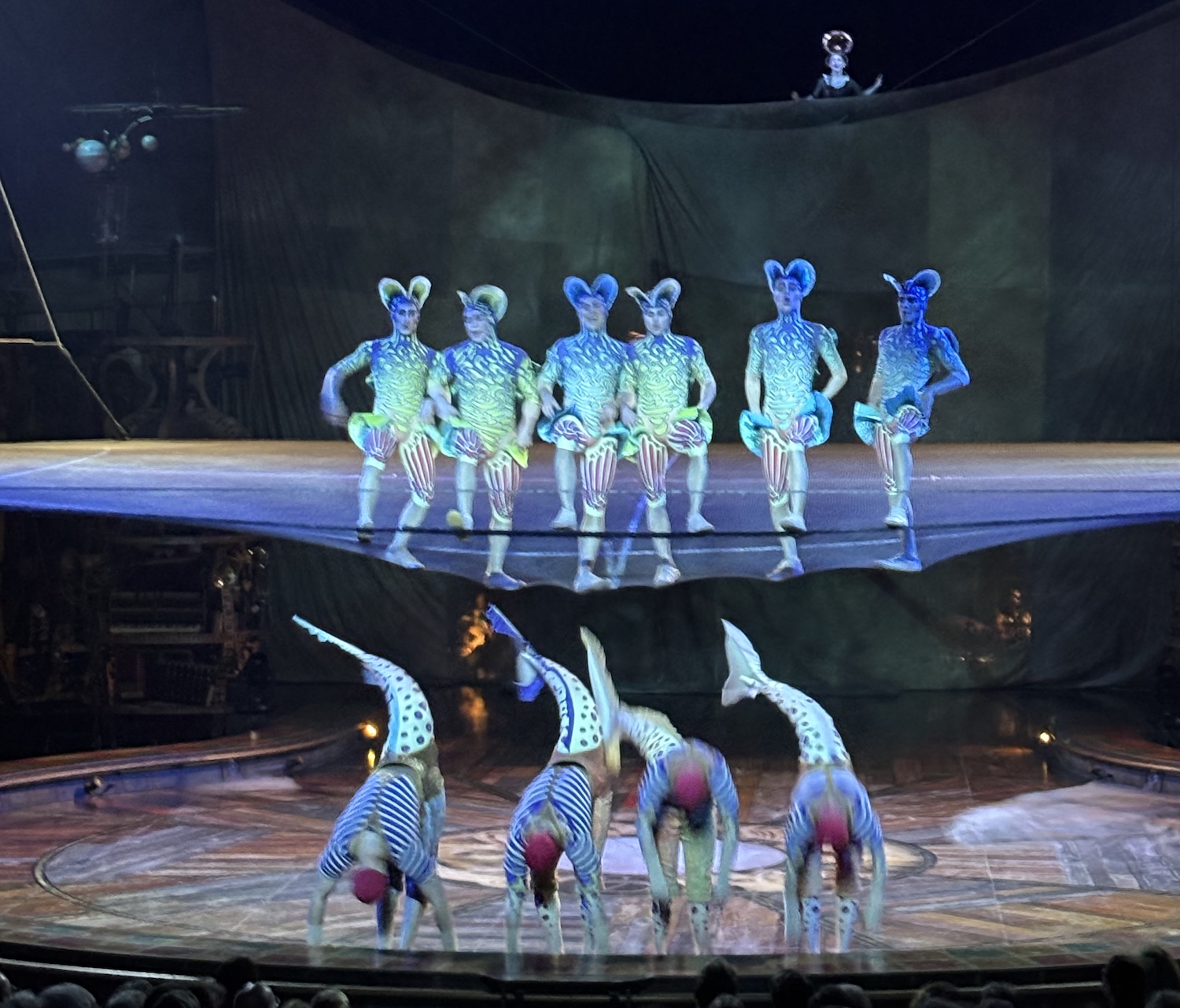 Geneve_Plaipalais_Cirque_Soleil_Kurios_cabinet_curiosite_trampoline_costumes_poisson