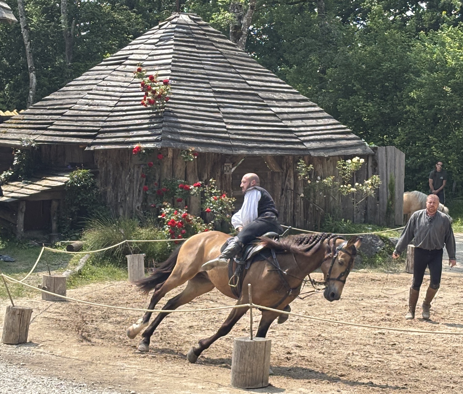 Andilly_foret_Petit_Pays_Amphitheatre_Grandes_Medievales_2025_reve_poney_equestre_cacadeur