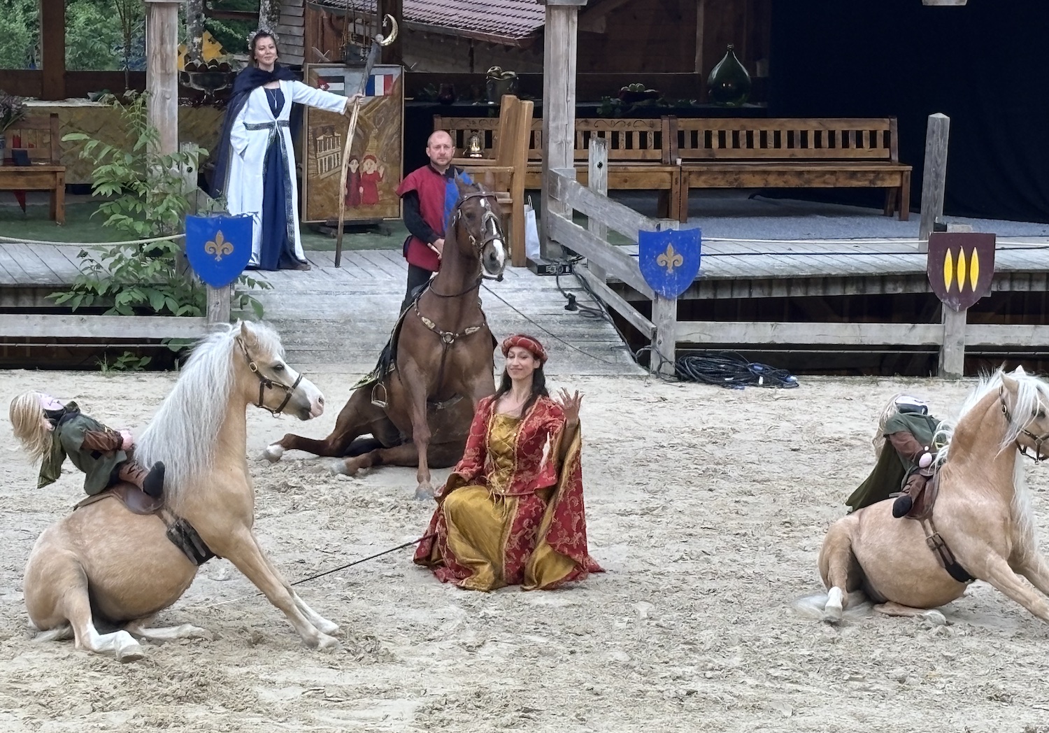 Andilly_foret_Petit_Pays_Grandes_Medievales_2025_association_Petit_Pays_spectacle_dressage_costume_humour_poney