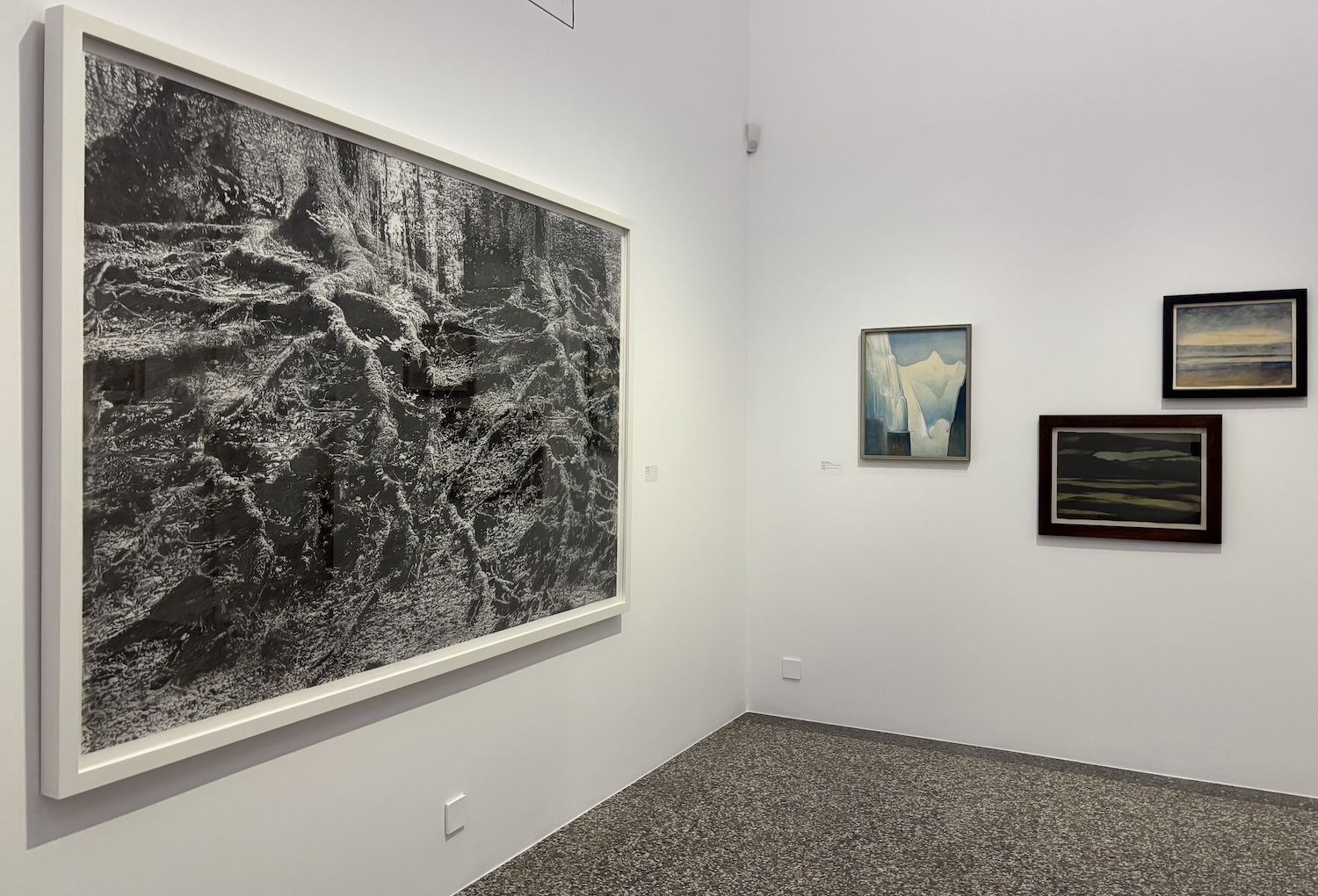 Vevey_Musee_Jenisch_exposition_2025_Thierry Barbier-Mueller_collectionneur_conversation_sans_mots_Alain_Huck