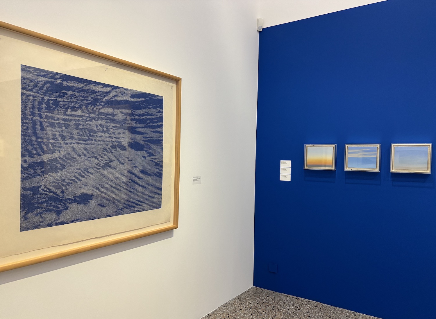 Vevey_Musee_Jenisch_exposition_2025_Thierry Barbier-Mueller_collectionneur_conversation_sans_mots_Franz_Gertsch