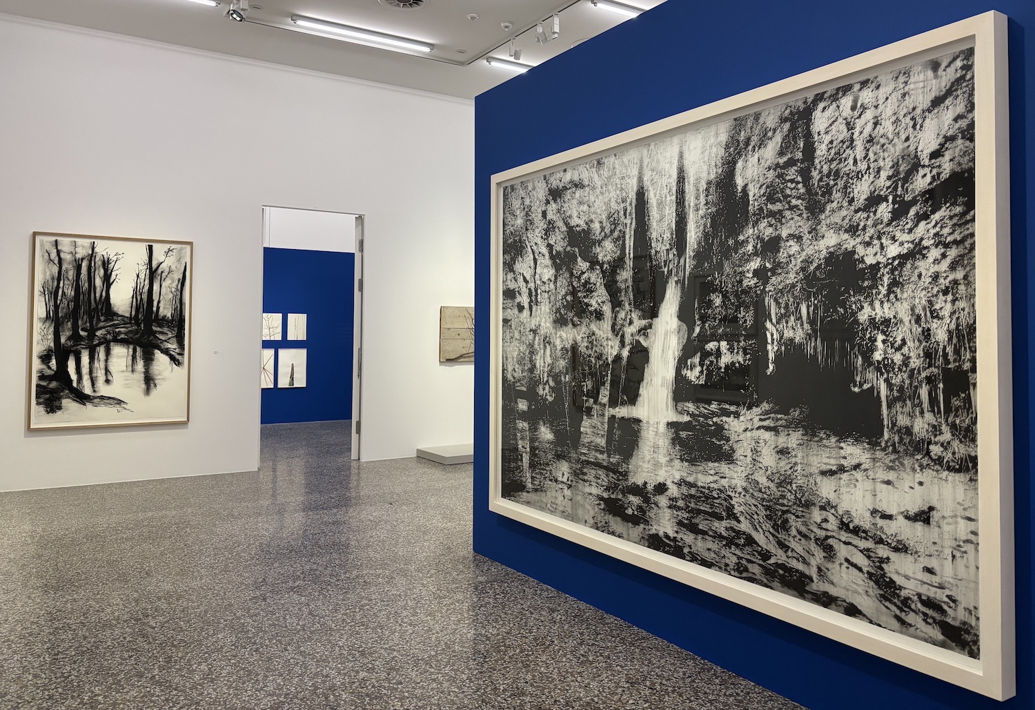 Vevey_Musee_Jenisch_exposition_2025_Thierry Barbier-Mueller_collectionneur_conversation_sans_mots_arbres_eau