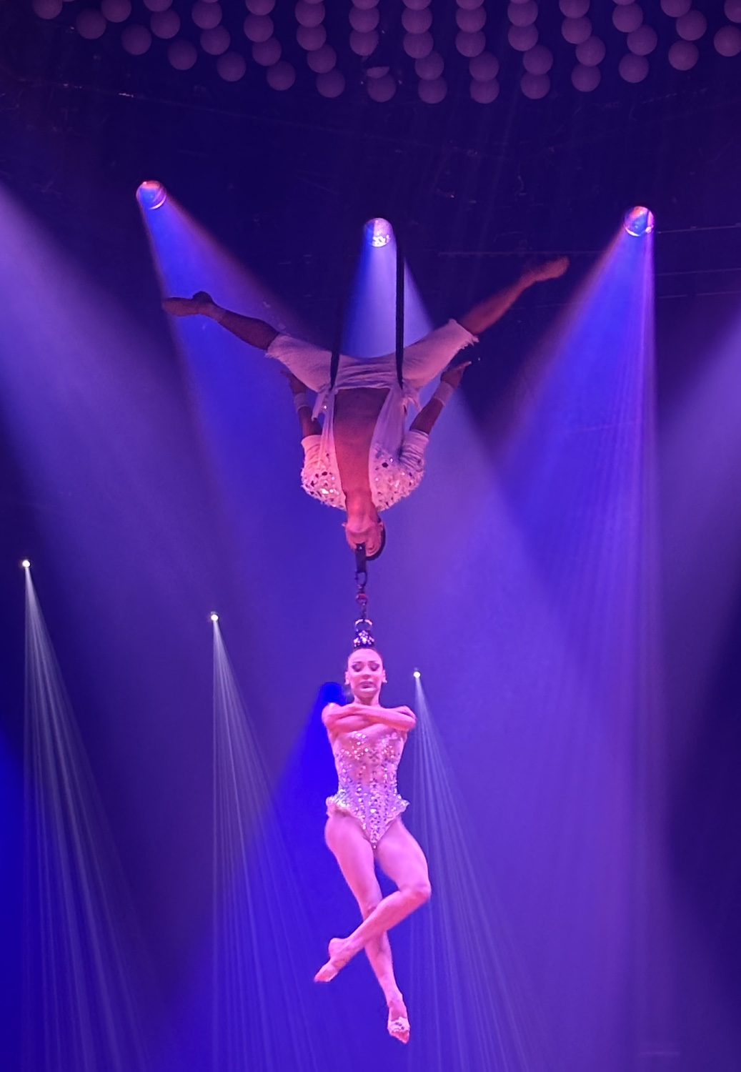 Geneve_Plaine_Plainpalais_Cirque_Knie_2025_Duo_Disar