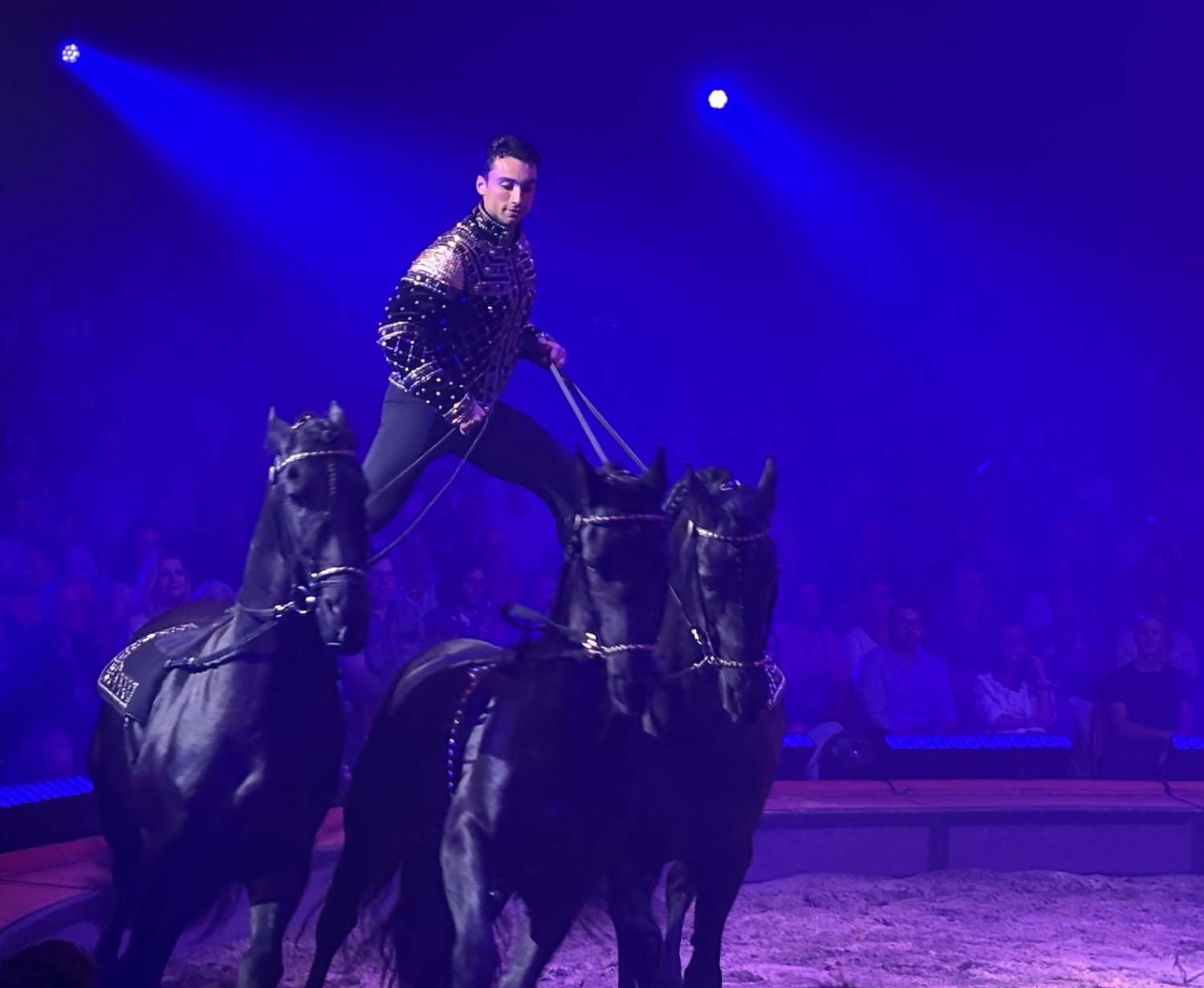 Geneve_Plaine_Plainpalais_Cirque_Knie_2025_Ivan_Frederic_Knie_equestre