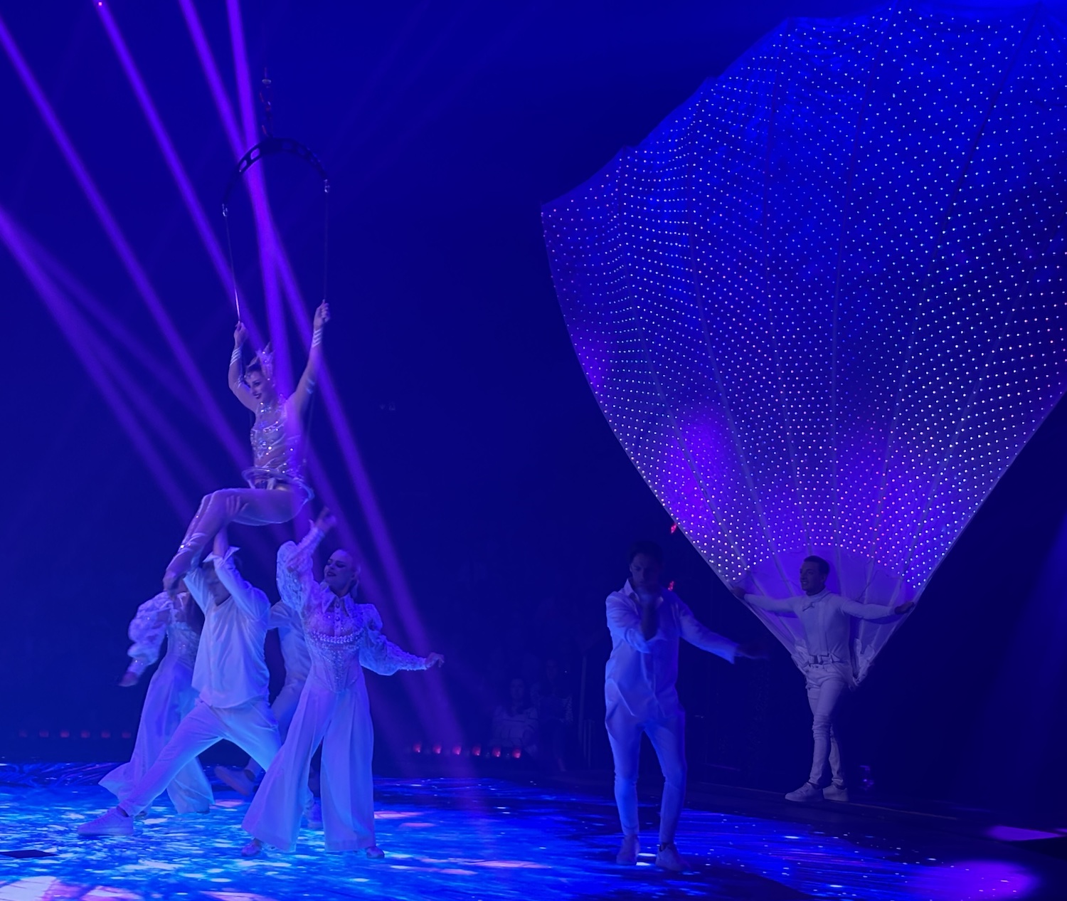 Geneve_Plaine_Plainpalais_Cirque_Knie_2025_misee_scene_lumiere_Bingo