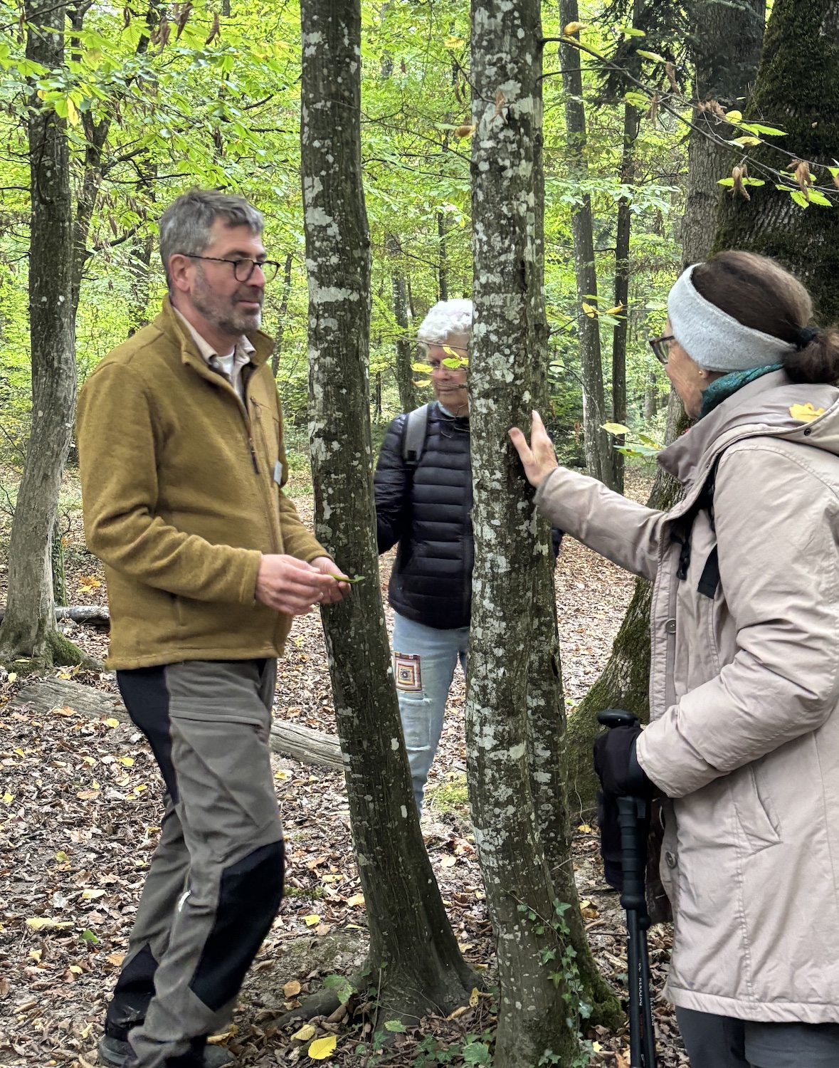 Geneve_Jussy_Bois_Maison_Foret_domaine_forestier_300_ans_2025_Pierre_Baumgart_naturaliste_hetre_charme