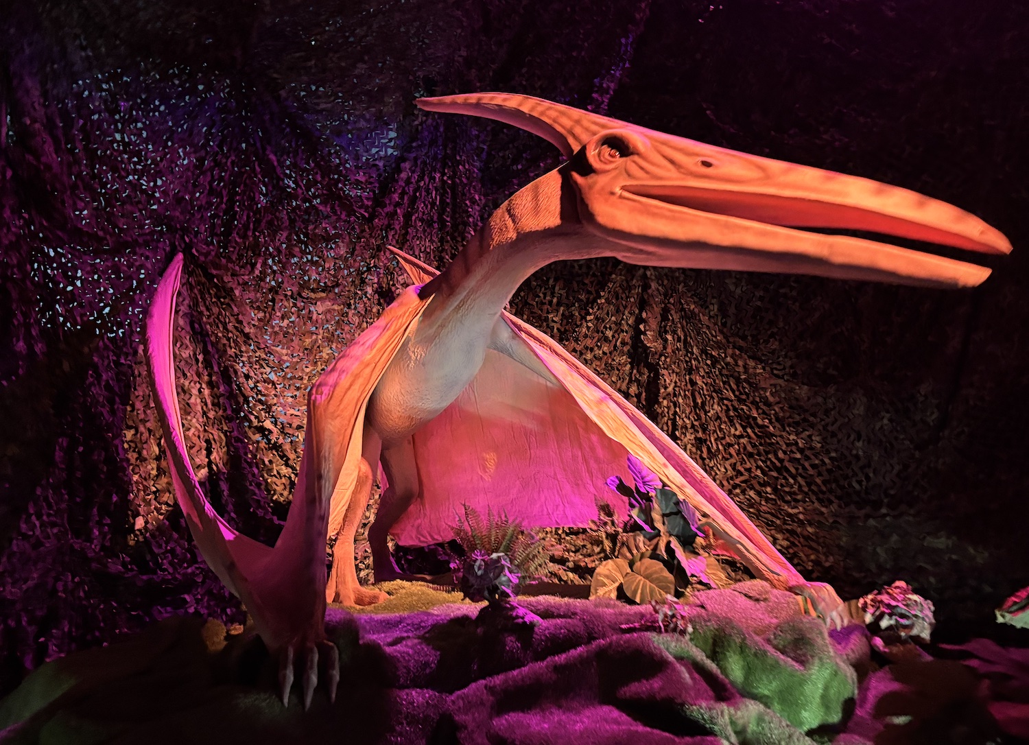 Lausanne_Beaulieu_Exposition_Grandeur_nature_2025_Dinos_alive_Cretace_Pterodactyl_volant
