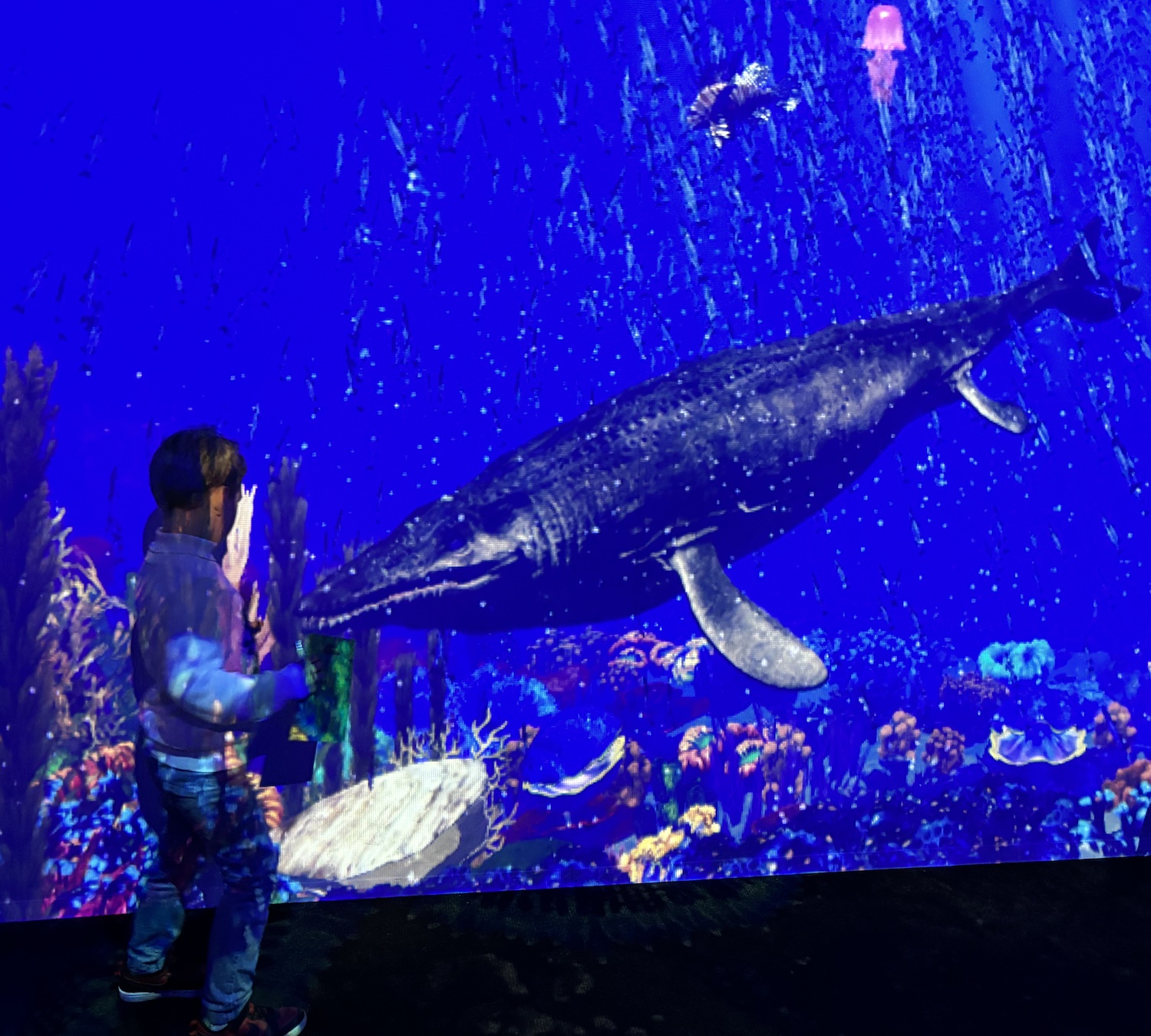 Lausanne_Beaulieu_Exposition_Grandeur_nature_2025_Dinos_alive_aquarium_virtuel_immersif_sous-marine
